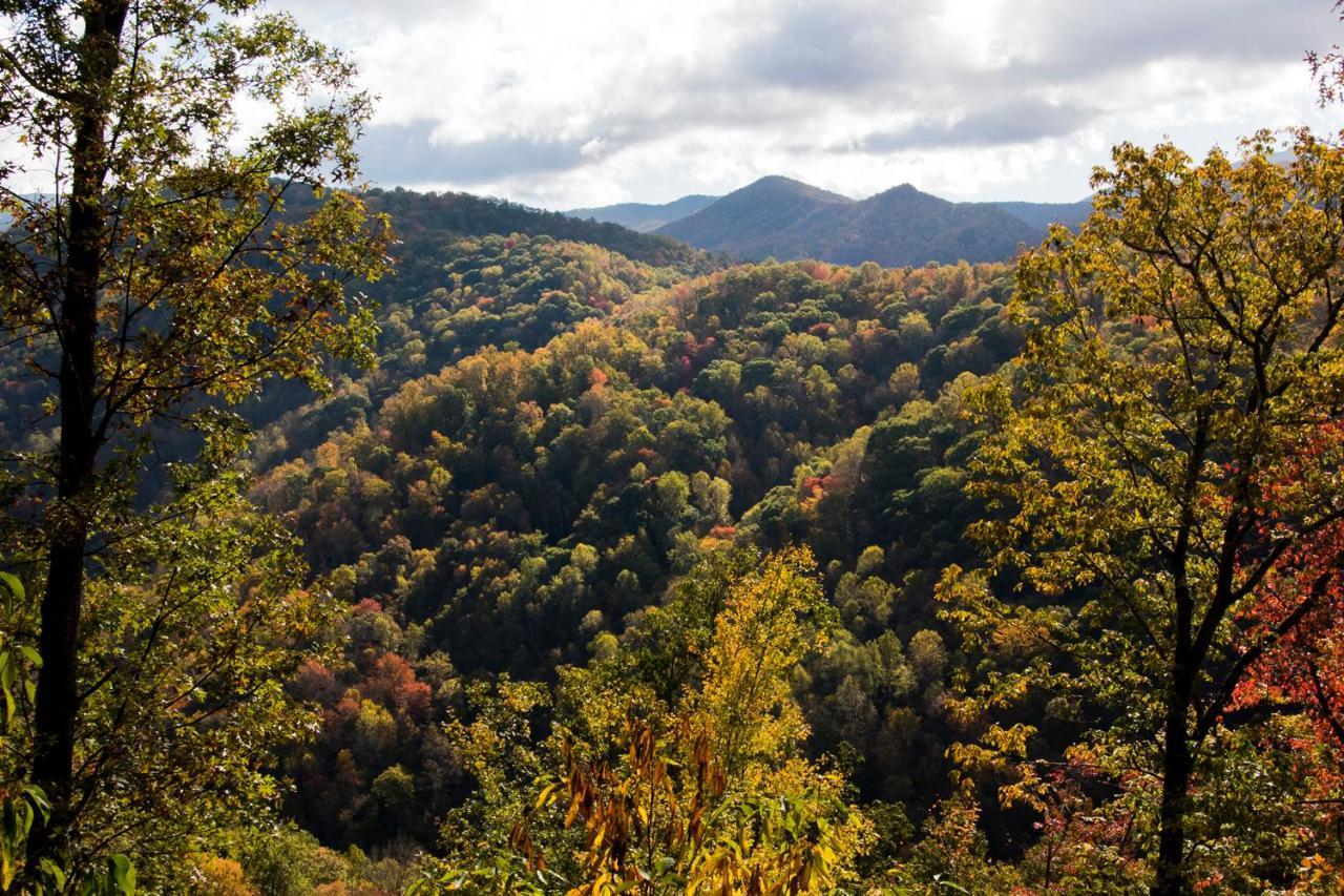 Cherokee Mountain Cabins Llc Hotel Topton Eksteriør billede