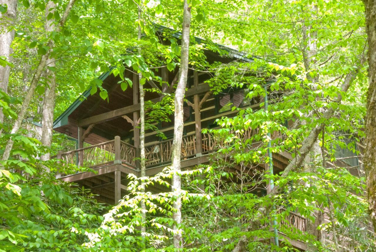 Cherokee Mountain Cabins Llc Hotel Topton Eksteriør billede